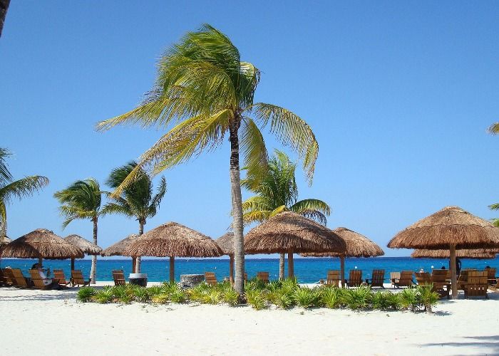 Сколько стоит отдых в Доминикане